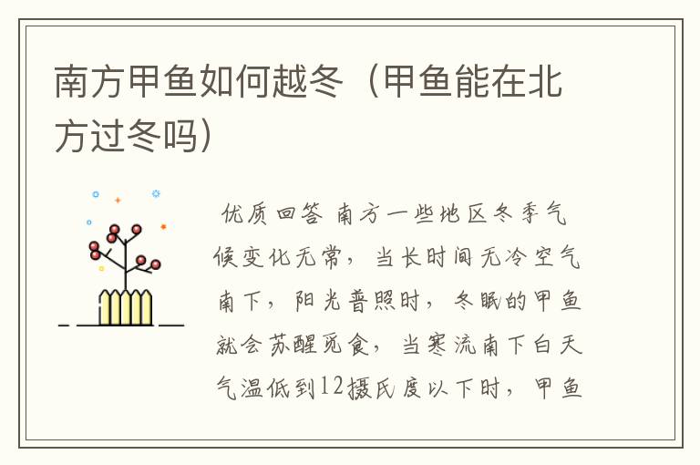 南方甲鱼如何越冬(甲鱼能在北方过冬吗)