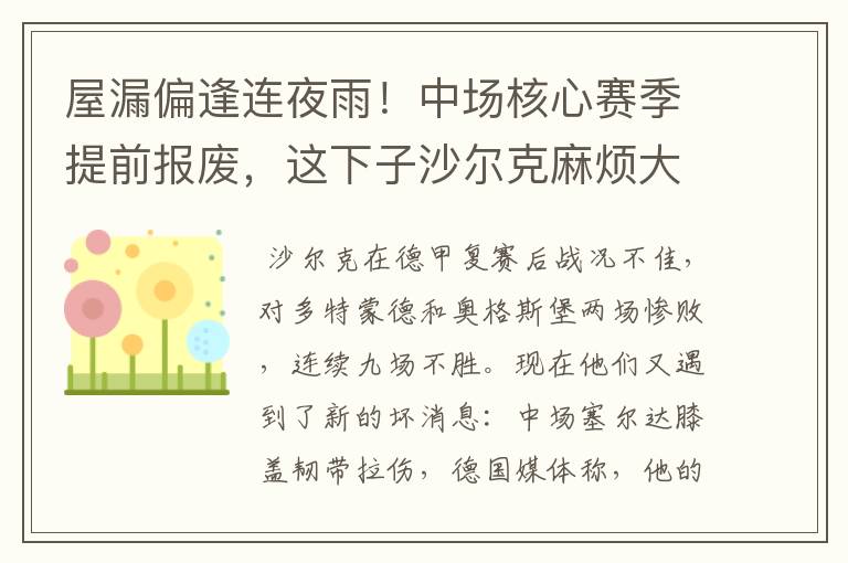 屋漏偏逢连夜雨!中场核心赛季提前报废,这下子沙尔克麻烦大了