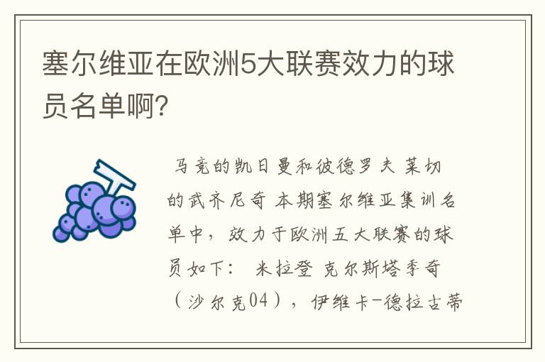 塞尔维亚在欧洲5大联赛效力的球员名单啊?