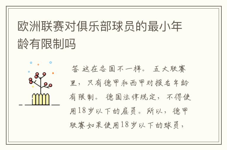 欧洲联赛对俱乐部球员的最小年龄有限制吗