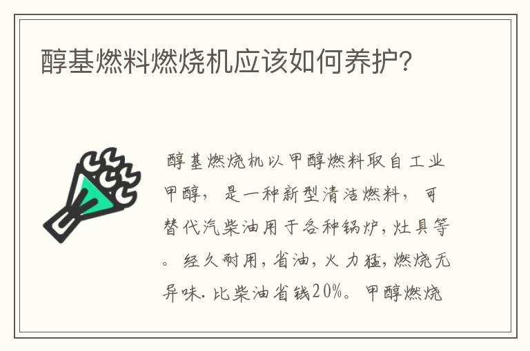醇基燃料燃烧机应该如何养护?