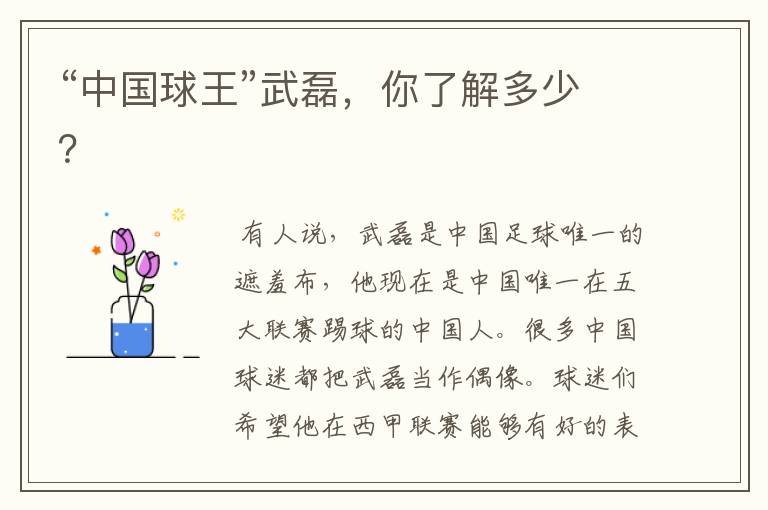 “中国球王”武磊,你了解多少?