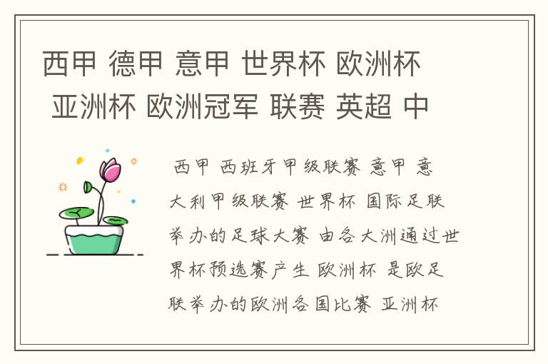 西甲 德甲 意甲 世界杯 欧洲杯 亚洲杯 欧洲冠军 联赛 英超 中超 分别是什么意思啊?