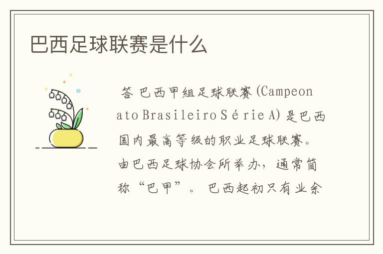 巴西足球联赛是什么