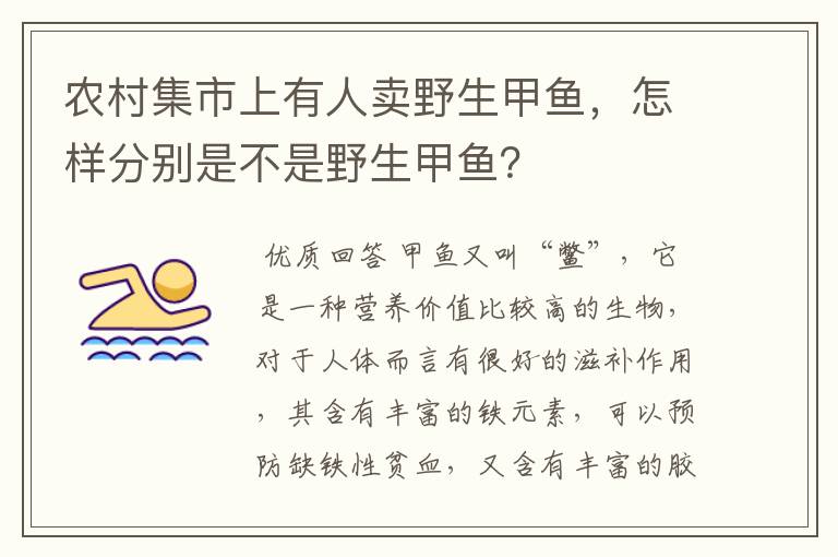 农村集市上有人卖野生甲鱼,怎样分别是不是野生甲鱼?