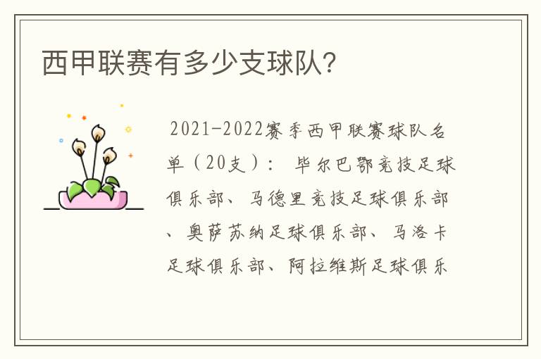 西甲联赛有多少支球队?