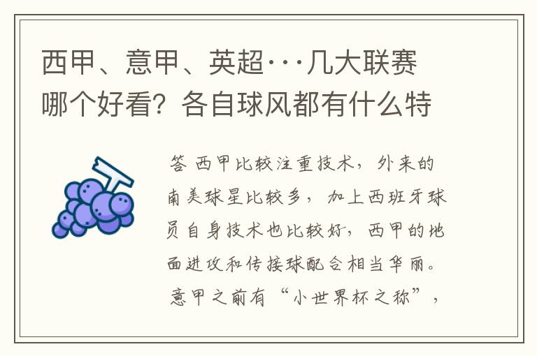 西甲、意甲、英超···几大联赛哪个好看?各自球风都有什么特征?