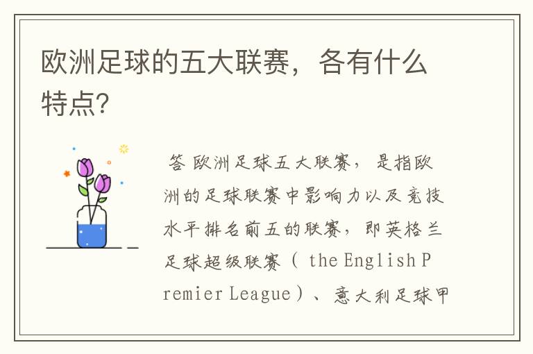 欧洲足球的五大联赛,各有什么特点?