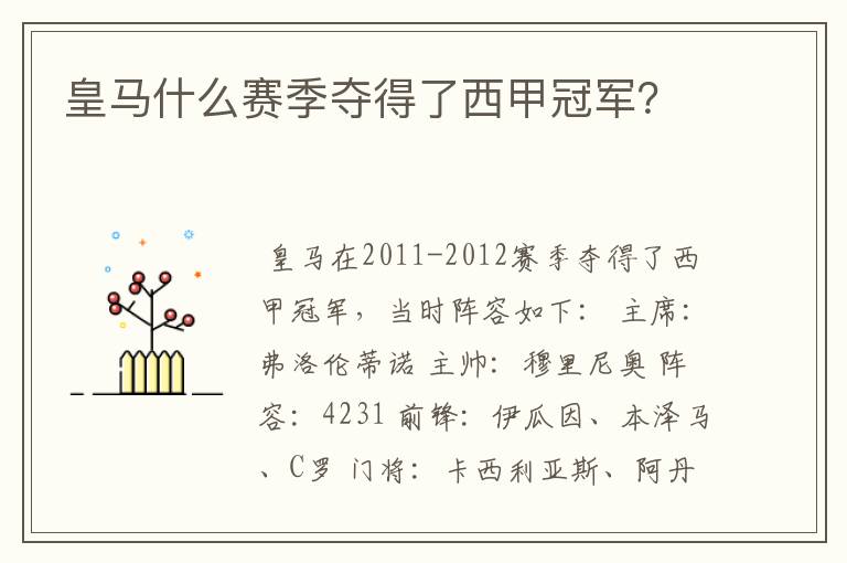 皇马什么赛季夺得了西甲冠军?