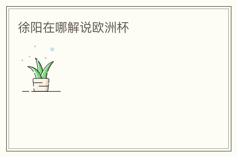 徐阳在哪解说欧洲杯