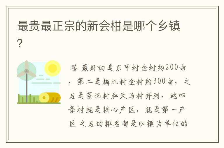 最贵最正宗的新会柑是哪个乡镇?