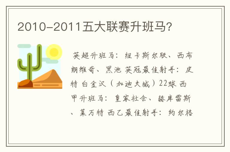 2010-2011五大联赛升班马?