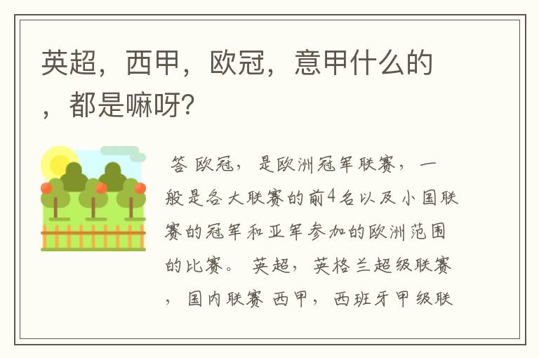 英超,西甲,欧冠,意甲什么的,都是嘛呀?
