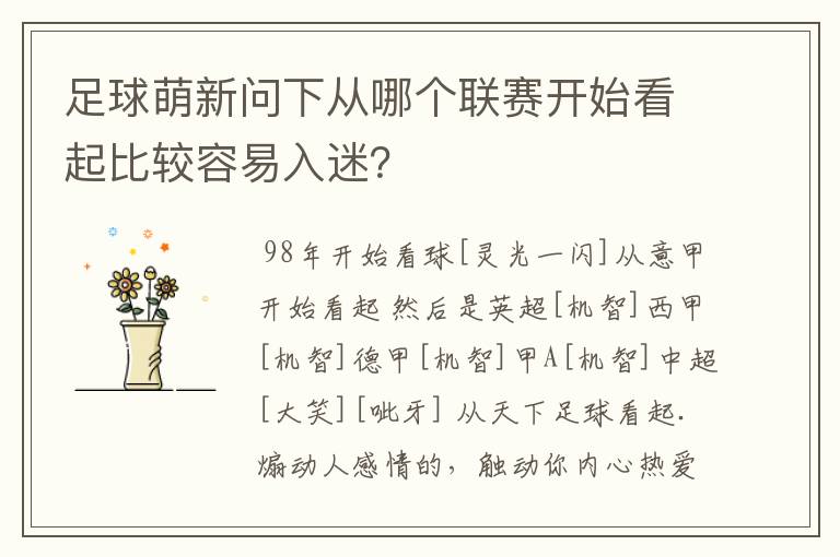 足球萌新问下从哪个联赛开始看起比较容易入迷?