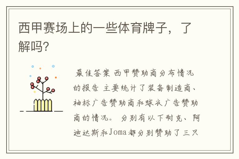 西甲赛场上的一些体育牌子,了解吗?