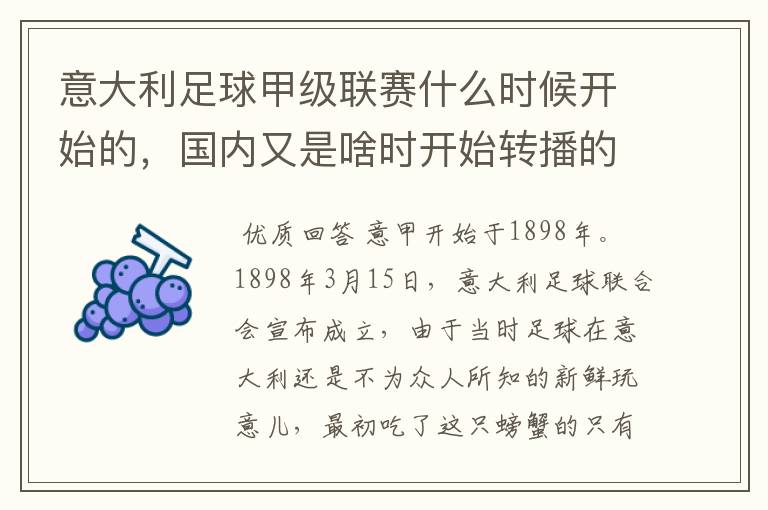 意大利足球甲级联赛什么时候开始的,国内又是啥时开始转播的