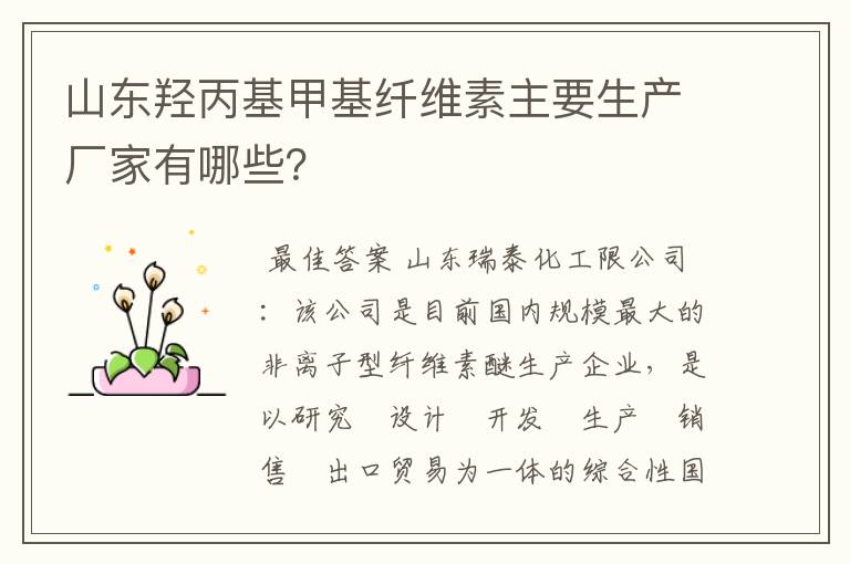 山东羟丙基甲基纤维素主要生产厂家有哪些?
