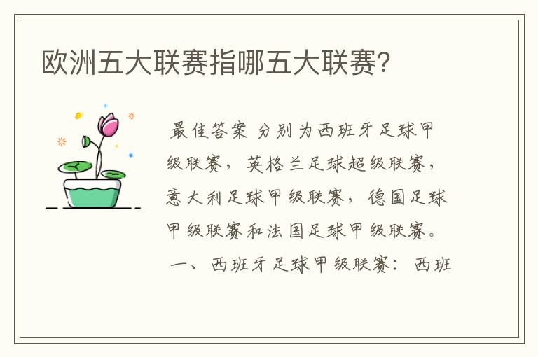 欧洲五大联赛指哪五大联赛?