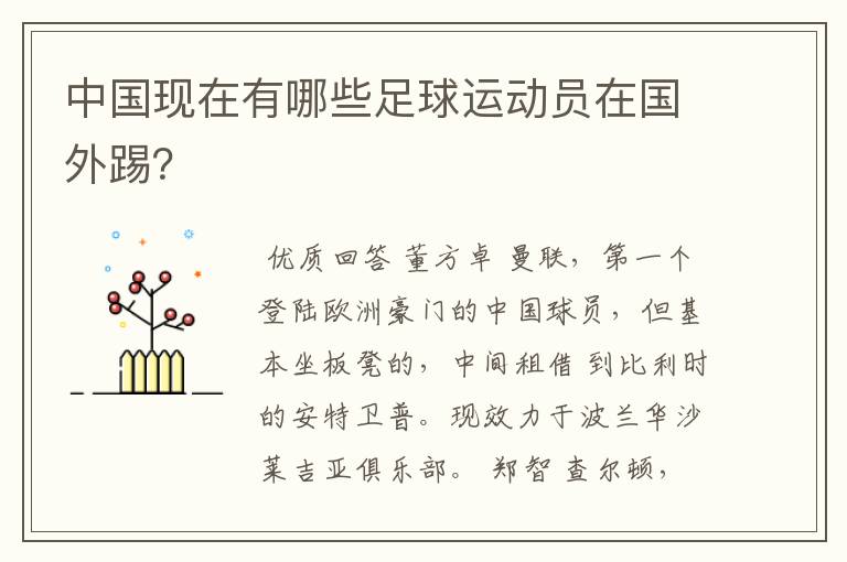 中国现在有哪些足球运动员在国外踢?