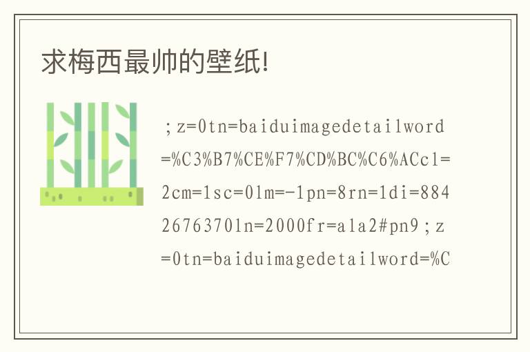 求梅西最帅的壁纸!