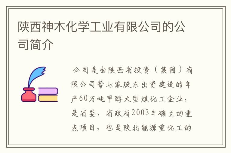 陕西神木化学工业有限公司的公司简介