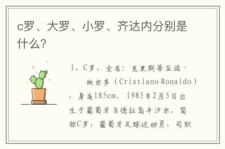 c罗、大罗、小罗、齐达内分别是什么?