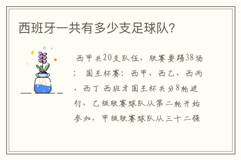 西班牙一共有多少支足球队?