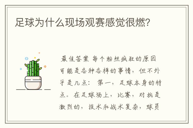 足球为什么现场观赛感觉很燃?