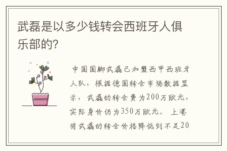 武磊是以多少钱转会西班牙人俱乐部的?