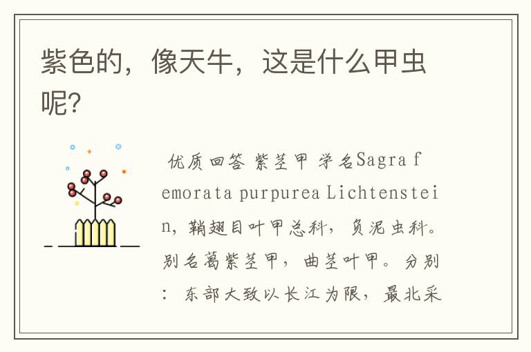 紫色的,像天牛,这是什么甲虫呢?