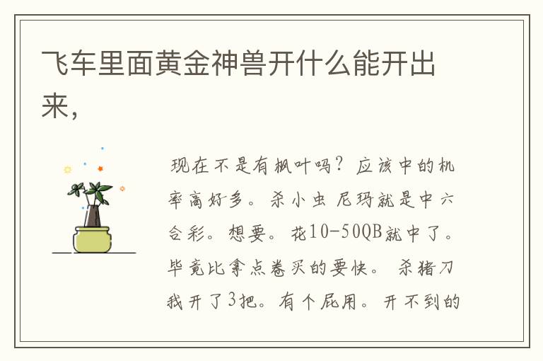 飞车里面黄金神兽开什么能开出来,