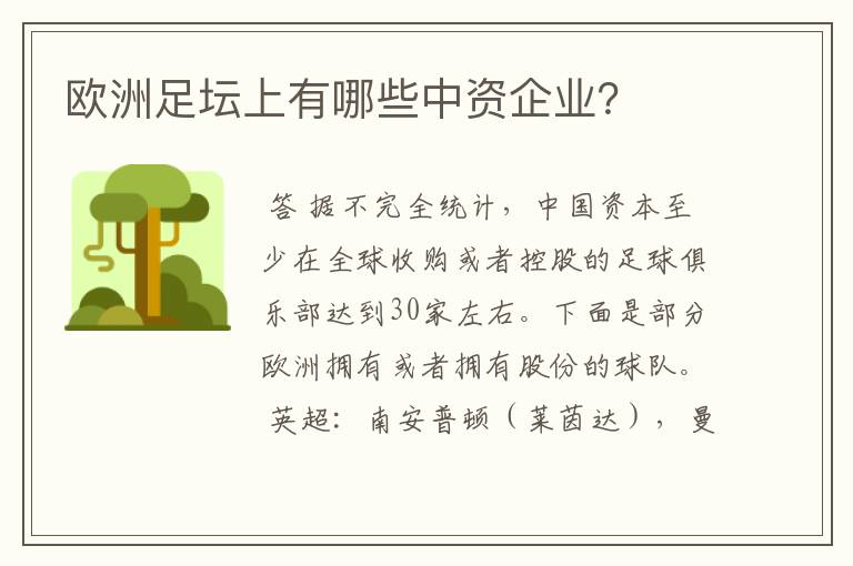欧洲足坛上有哪些中资企业?