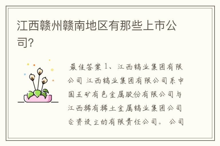 江西赣州赣南地区有那些上市公司?
