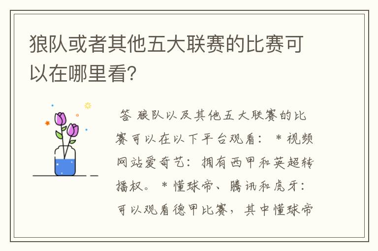 狼队或者其他五大联赛的比赛可以在哪里看?