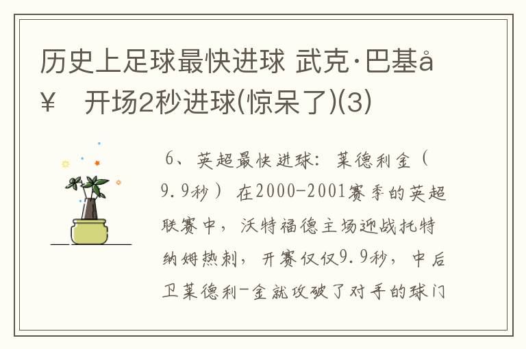 历史上足球最快进球 武克·巴基奇开场2秒进球(惊呆了)(3)