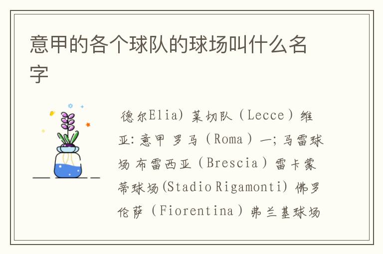 意甲的各个球队的球场叫什么名字