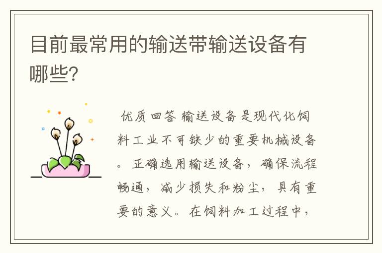 目前最常用的输送带输送设备有哪些?