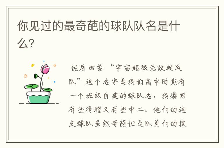 你见过的最奇葩的球队队名是什么?
