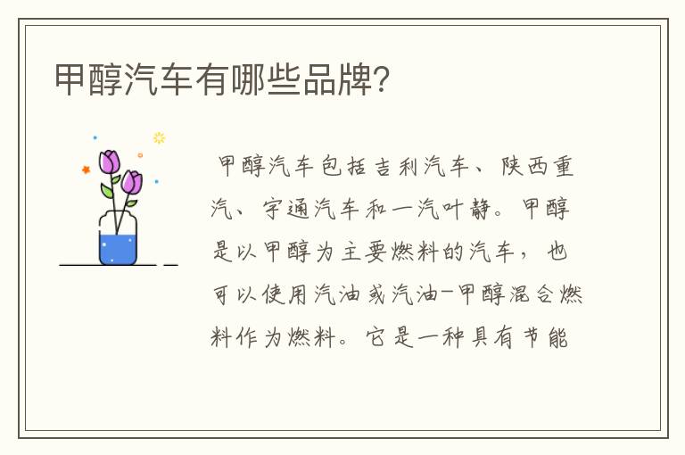 甲醇汽车有哪些品牌?