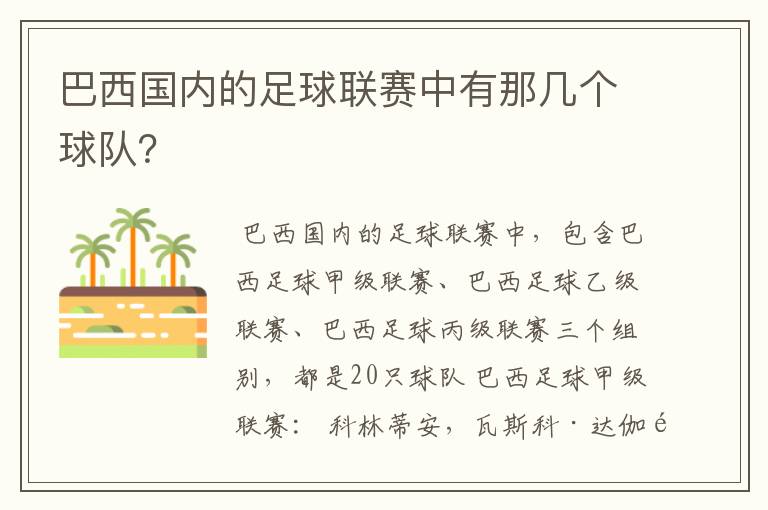 巴西国内的足球联赛中有那几个球队?