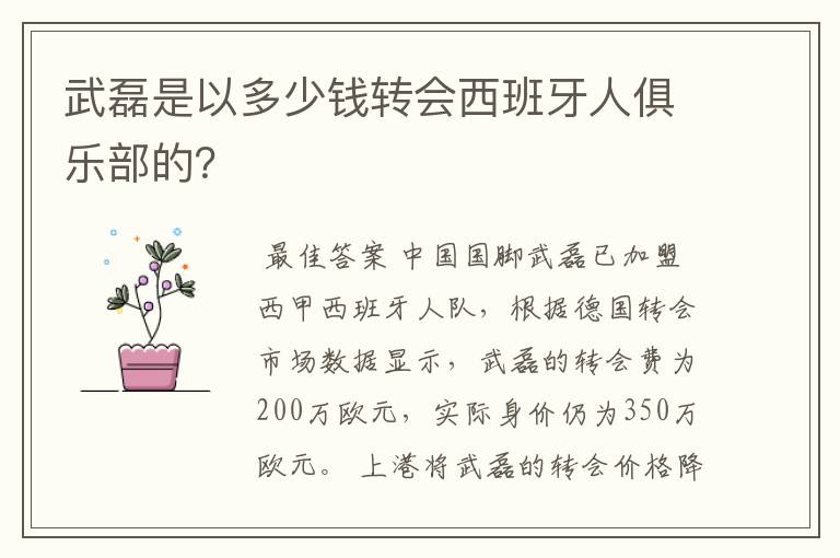 武磊是以多少钱转会西班牙人俱乐部的?
