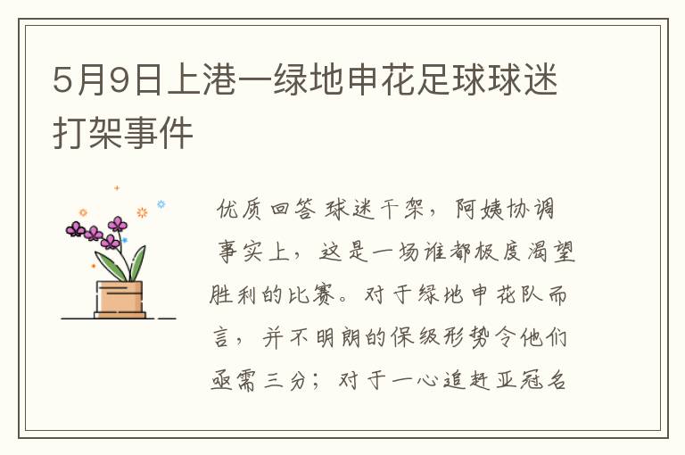 5月9日上港一绿地申花足球球迷打架事件