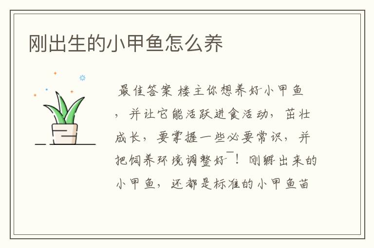 刚出生的小甲鱼怎么养