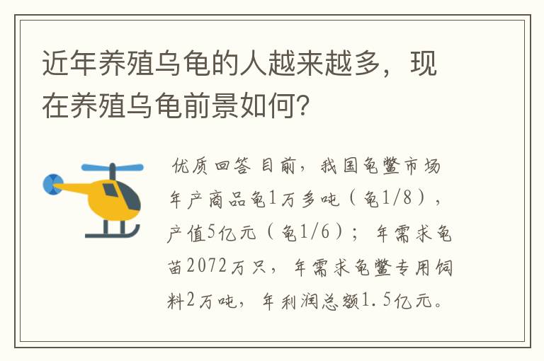 近年养殖乌龟的人越来越多,现在养殖乌龟前景如何?