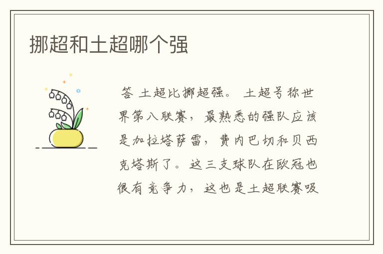 挪超和土超哪个强