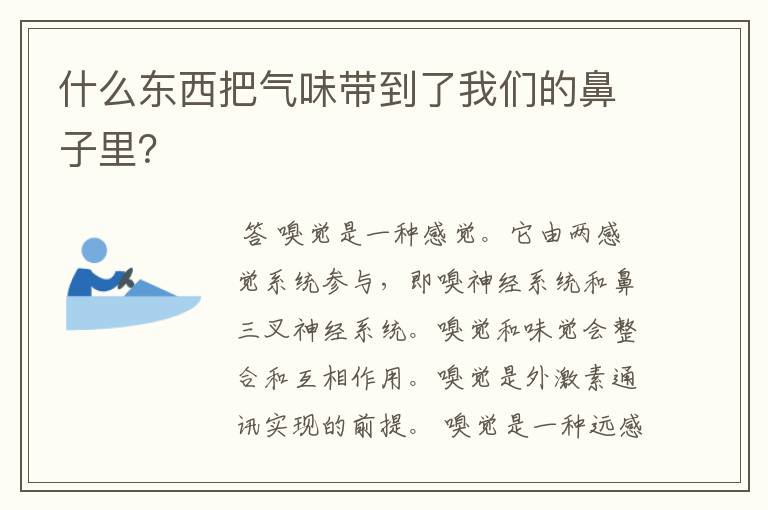 什么东西把气味带到了我们的鼻子里?