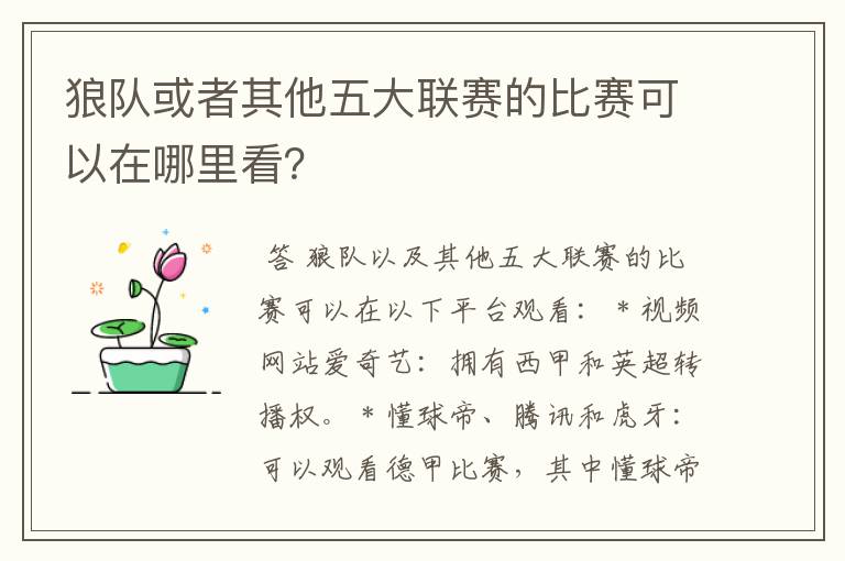 狼队或者其他五大联赛的比赛可以在哪里看?