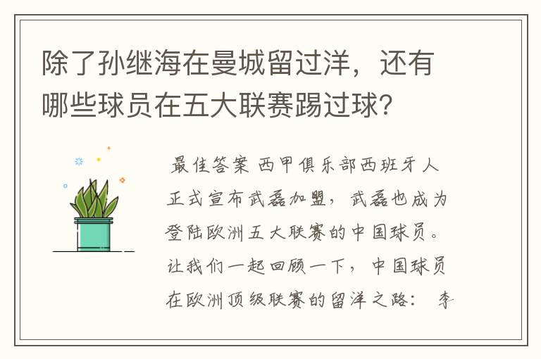 除了孙继海在曼城留过洋,还有哪些球员在五大联赛踢过球?