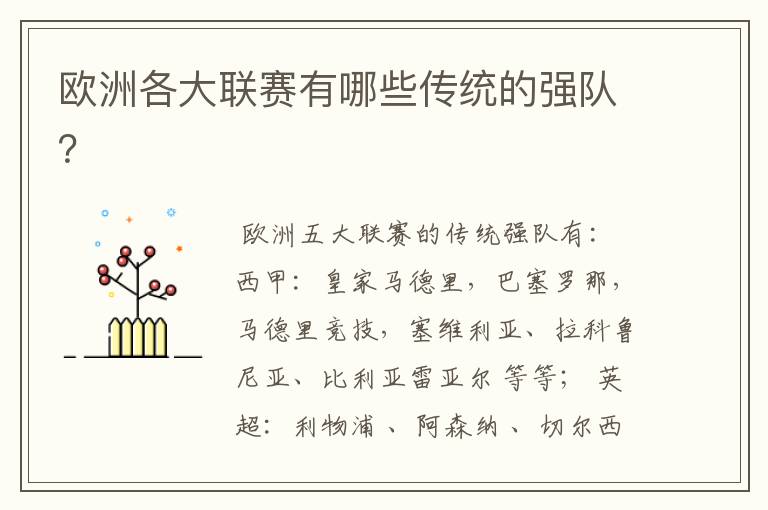 欧洲各大联赛有哪些传统的强队?