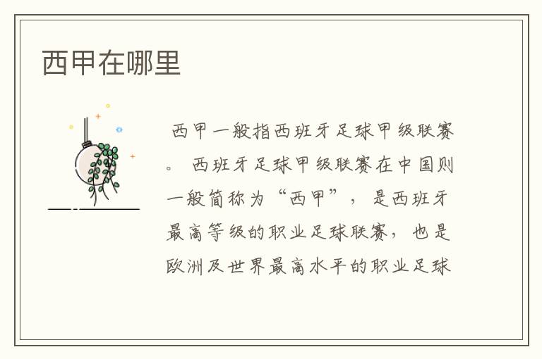 西甲在哪里
